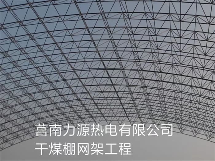 瑞安力源热电有限公司干煤棚网架工程